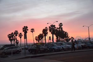 Meet your Posher, Samuel